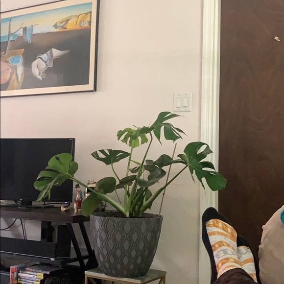 Meet your Posher, Bryan - Picture 1 of 1